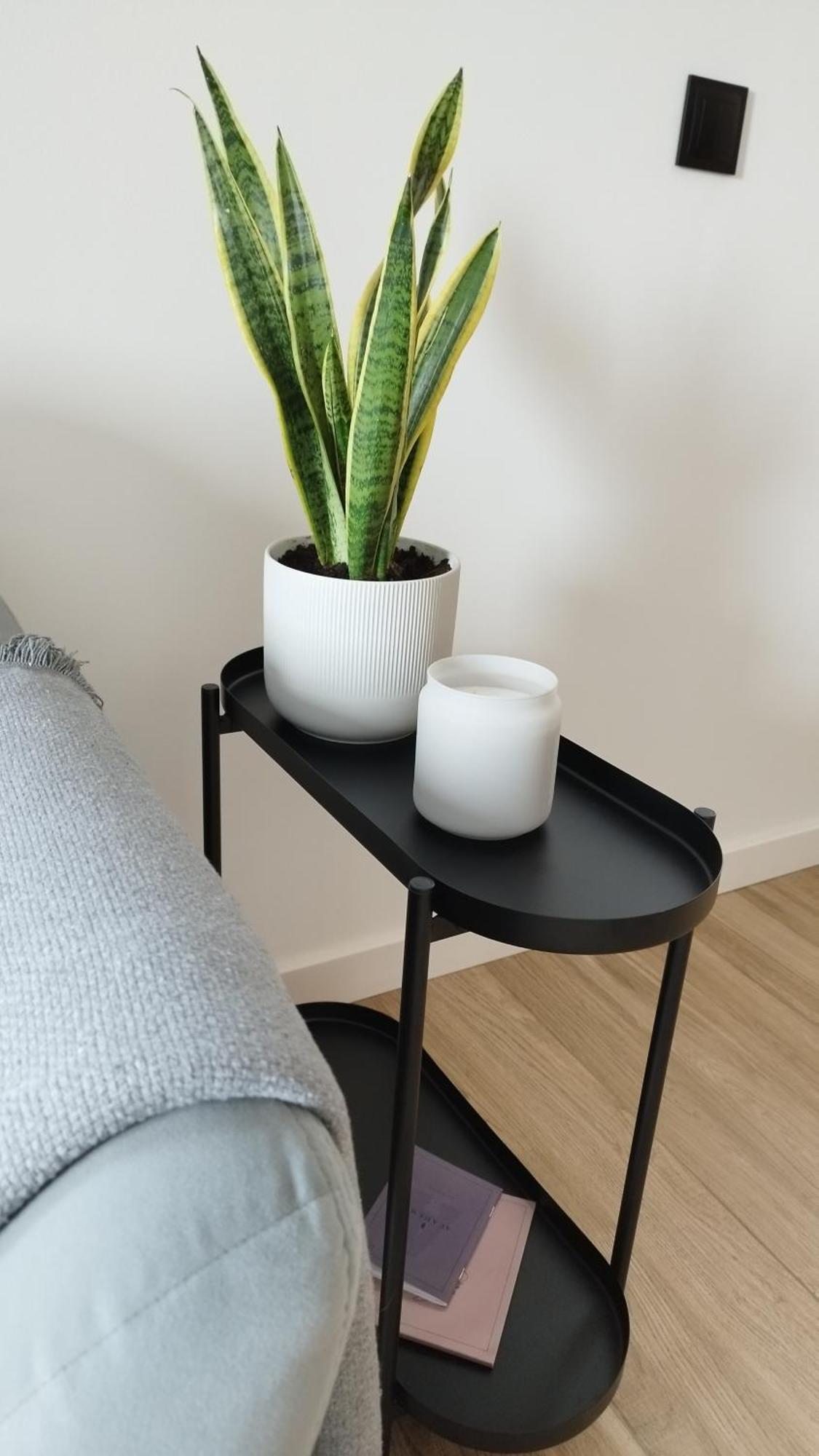 קרקוב Apartment Between מראה חיצוני תמונה